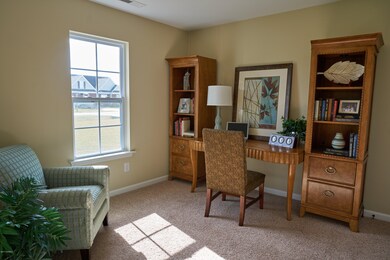 2787 Ange St, Winterville, NC 28590 - photo 4