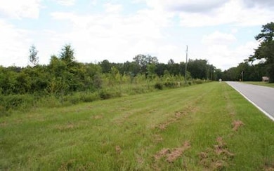 0 Cr 245 - Price Creek unit 81514, Lake City, FL 32025 - photo 2