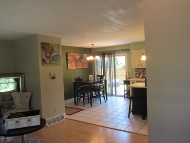 1044 Riverside Dr, Lowell, MI 49331 - photo 6