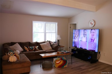 741 Peenpack Trail, Sparrow Bush, NY 12780 - photo 5