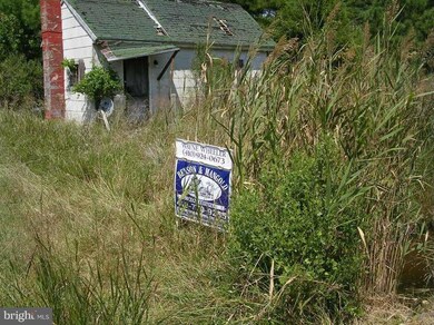 0 Andrews Rd unit 1001675975, Crapo, MD 21626 - photo 3