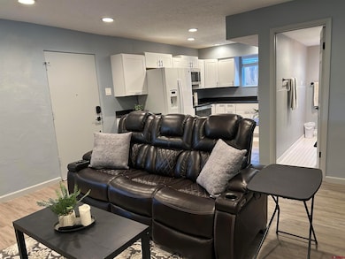 634 E 8th Ave unit 7, Durango, CO 81301 - photo 3