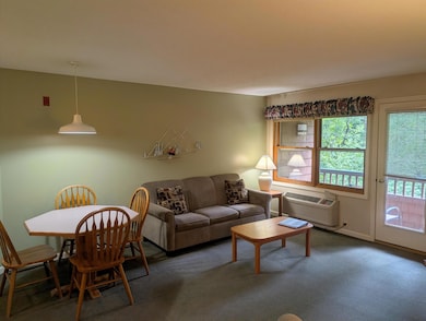 156 Deer Park Dr unit 135 A, Woodstock, NH 03262 - photo 4