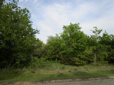 12019 Trailwood Dr, Whitney, TX 76692 - photo 2