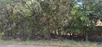 5594 Denmans Loop, Belton, TX 76513 - photo 2