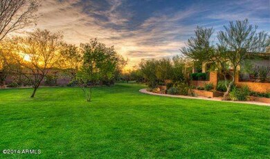 COMMON AREA GRASSY AREA