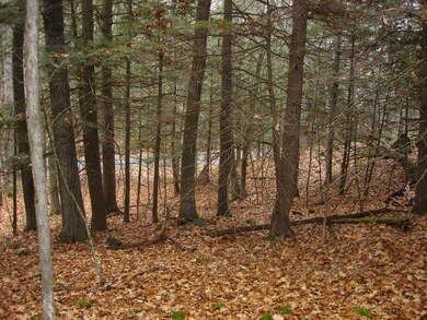 11 Buzzell Rd, Dayton, ME 04005 - photo 3
