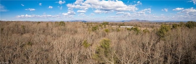 17.96 Acres Aubrey Thomas Ln, Dobson, NC 27017 - photo 7