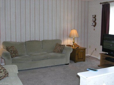 237 S Elm St, Jefferson, OH 44047 - photo 4