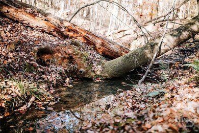 0 Greensboro Rd unit CL343963, Crawfordville, GA 30631 - photo 2