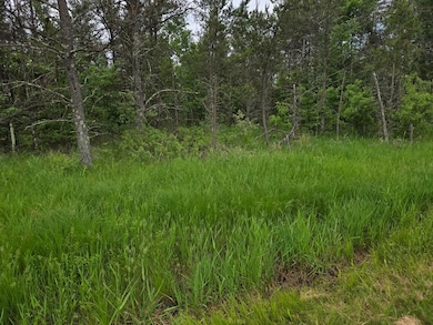 10 Acres 25th St, Necedah, WI 54646 - photo 6