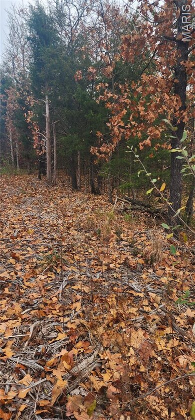 11050 County Road 2220, Rolla, MO 65401 - photo 2