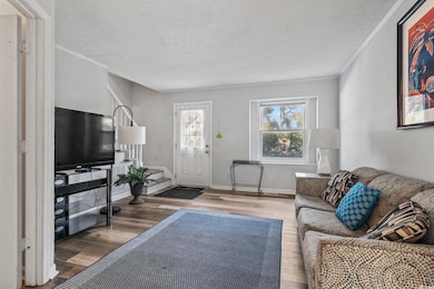 Living area with crown molding, wood finished floors, a textured ceiling, and plenty of natural light