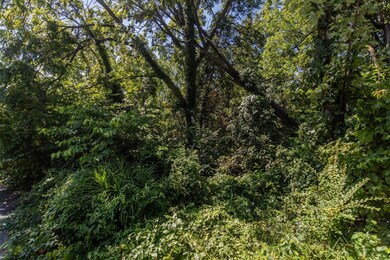 321 W View St, Harrisonburg, VA 22801 - photo 4