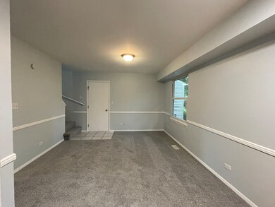 1010 Perry Dr, Algonquin, IL 60102 - photo 6