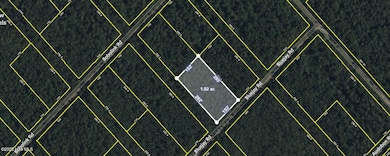 Aerial Map View