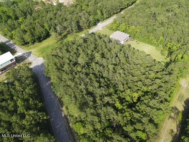 dji_fly_20240523_170640_115_171650202463
