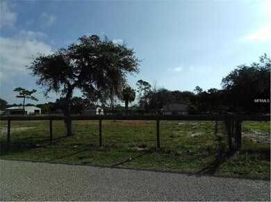 5601 Leon Tyson Rd, Saint Cloud, FL 34771 - photo 3