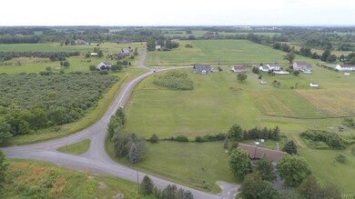 The lots for sale are in the center and go to the 