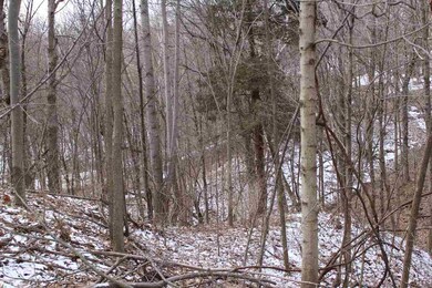 Beautiful Views with Ravine