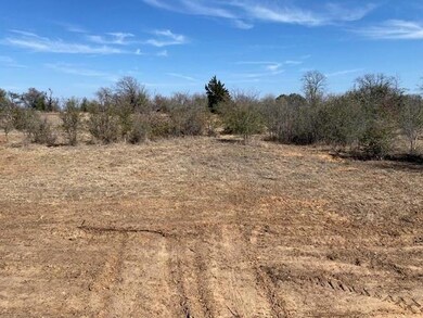 1295 Sandy Ln, Weatherford, TX 76088 - photo 2