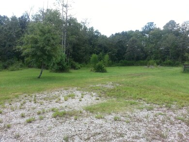 3284 Cardinal Ln, Middleburg, FL 32068 - photo 6