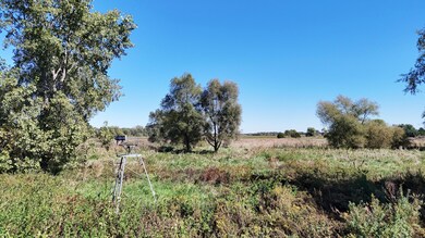8363 N 200 W, Wheatfield, IN 46392 - photo 5