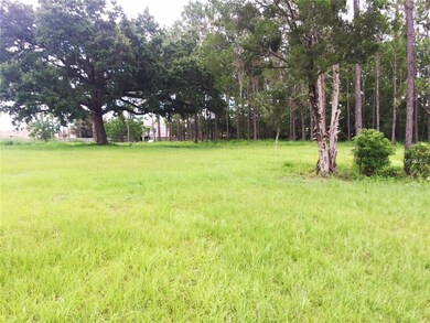 219 Sagecrest Dr, Ocoee, FL 34761 - photo 6