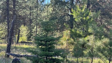 NHN Yaak River Rd, Yaak, MT 59935 - photo 6