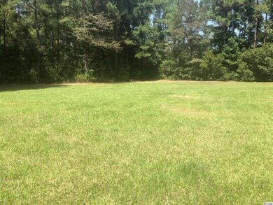 1267 Daisy Rd, Loris, SC 29569 - photo 2