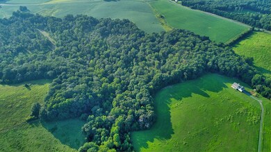 0 Stonewall Rd unit 16 41395, Concord, VA 24538 - photo 4