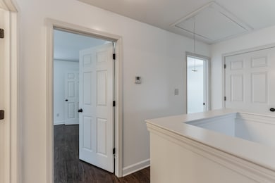 Corridor with dark wood-type flooring