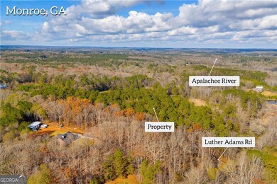 3681 Luther Adams Rd NW, Monroe, GA 30656 - photo 7