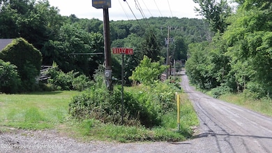 156 Mahon Ave, Lake Winola, PA 18625 - photo 3