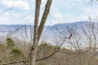 0 Lee Station Mountain Rd, Pikeville, TN 37367 - photo 6