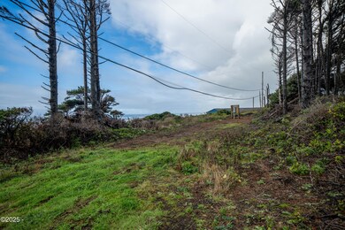 TL 400 Highway 101, Newport, OR 97365 - photo 6