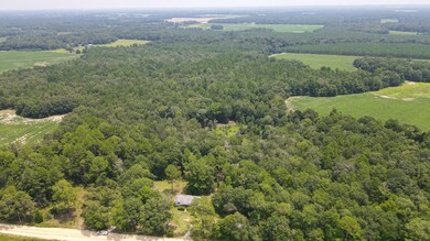 602 Bridges Rd, Cordele, GA 31015 - photo 4