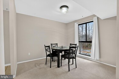 2063 Royal Fern Ct unit 39/21B, Reston, VA 20191 - photo 6