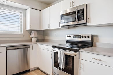 1167 E Telegraph St unit E202, Washington, UT 84780 - photo 6