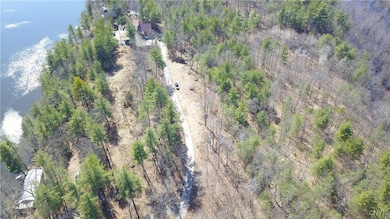 0 Chapman Point unit S1650981, Hammond, NY 13642 - photo 2