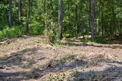 Recently cleared lot
