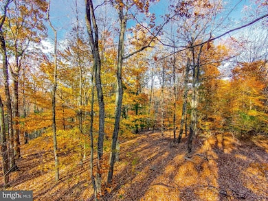 0 Goaway Road #2, Hedgesville, WV 25427 - photo 2