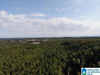 0000 Brooks Dr unit 1, Brookside, AL 35068 - photo 6