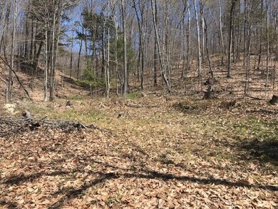 Looking up hill4