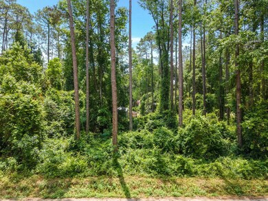 0 Naskapi St unit 358855, Crawfordville, FL 32327 - photo 5