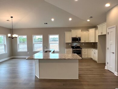 1927 Airport Rd, Conway, SC 29527 - photo 5