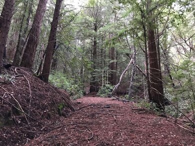 0 Upper E Zayante unit ML81693618, Los Gatos, CA 95033 - photo 2