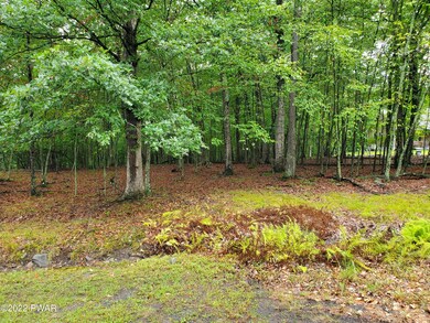 157 Apple Dr, Milford, PA Selec - photo 4