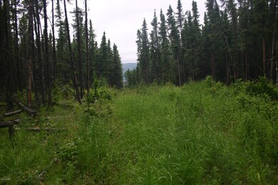 IMG_2909 - B2_ 2nd trail