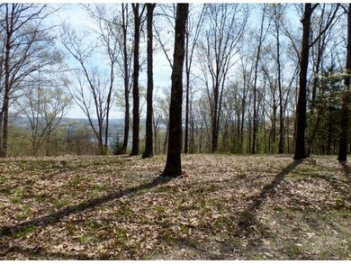 Lot 10 Plateau, Kimberling City, MO 65686 - photo 2